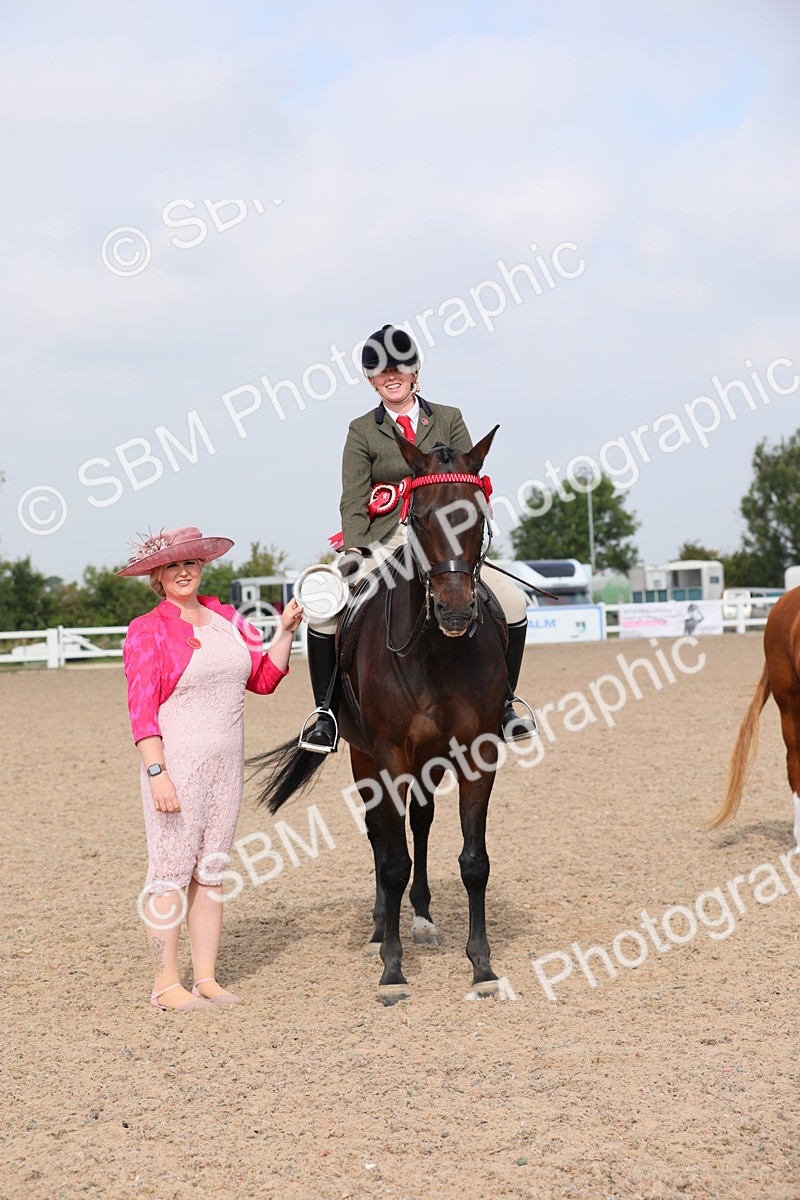 SBM_11476 - Class 305 Ridden Foreign Breeds- Pure Bred