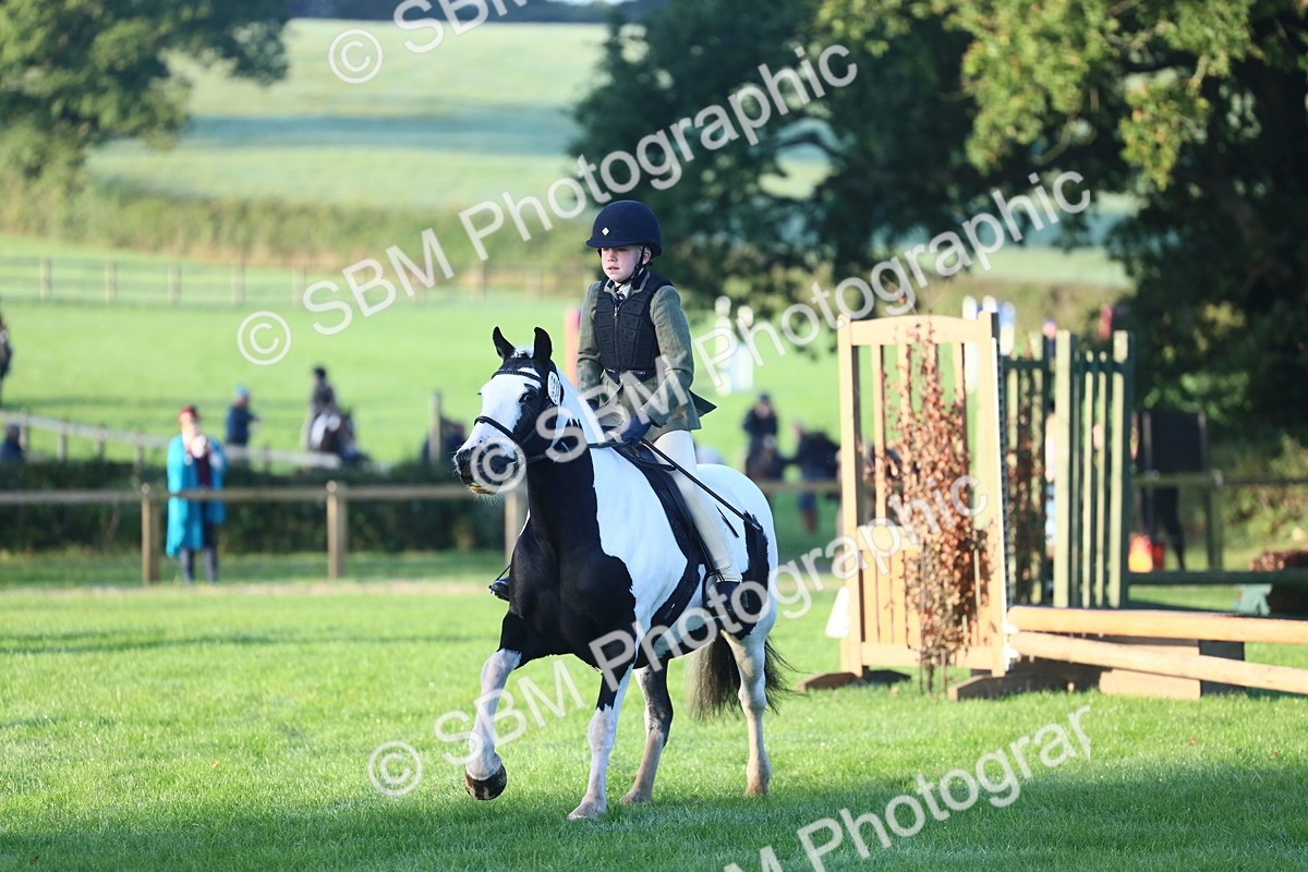 SBM_37141 - S29 - Novice & Newcomers Working Hunter Pony