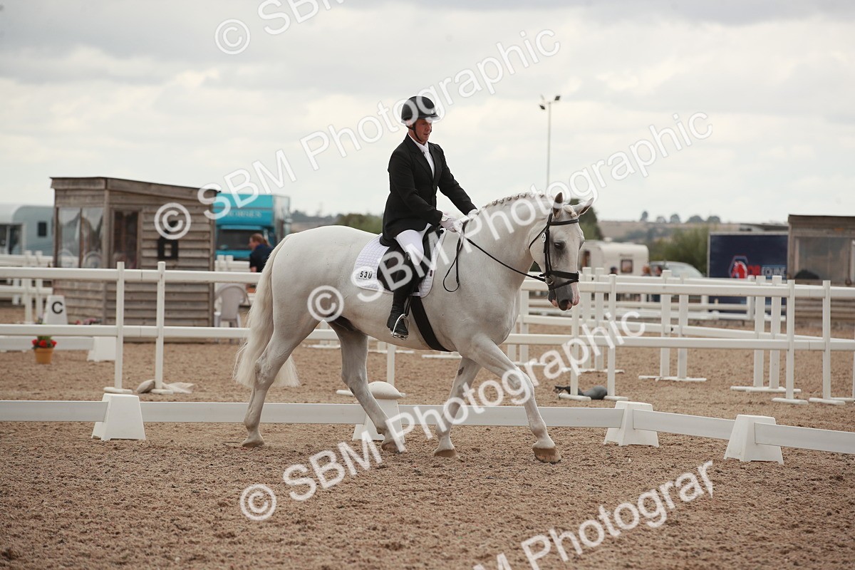 SBM_06165 - Class 33 - Elementary 1