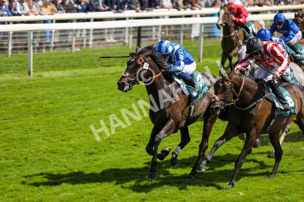 150723-Race 3-Pride of America-8815 - Race 3 3.10pm John Smith's Cup Handicap