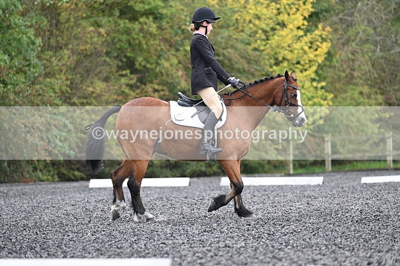 WJ7_3941 - Time 11:04 to 11:38