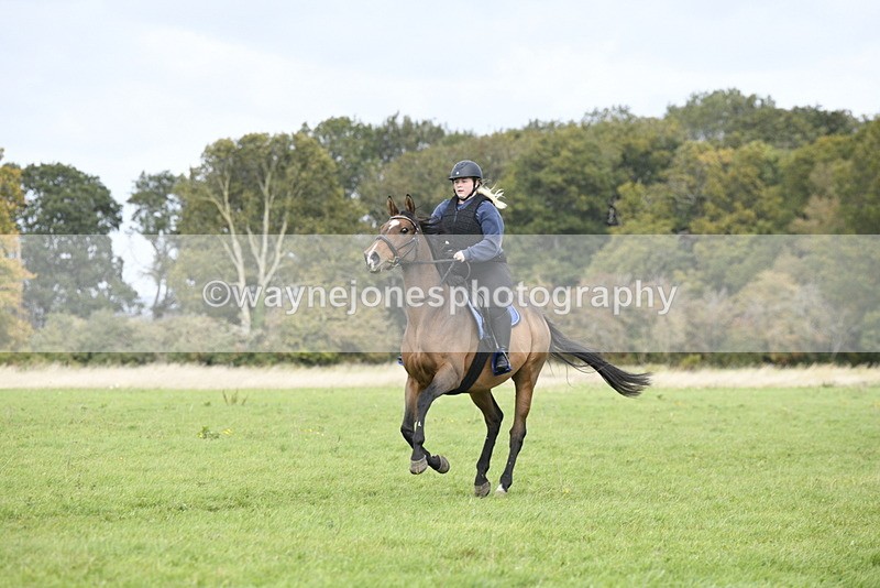 _DSC7803 - Time 12:55 to 13:13