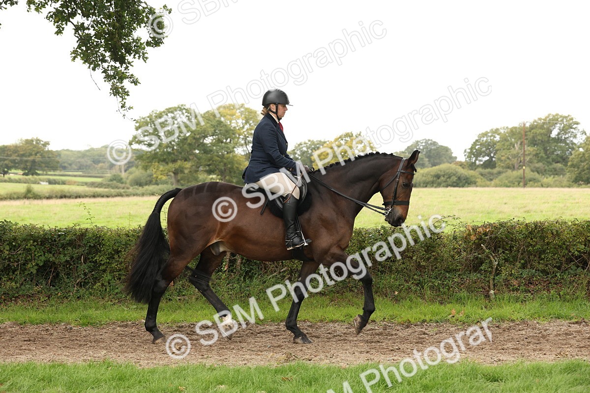 SBM_66290 - S66 - Hunter Ridden