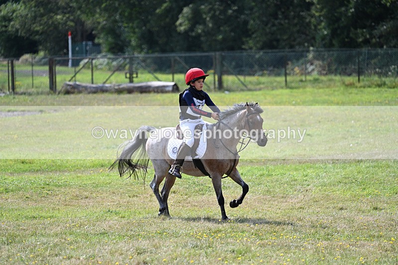 WJ7_0801 - 40cm Time 11:28 to 11:53