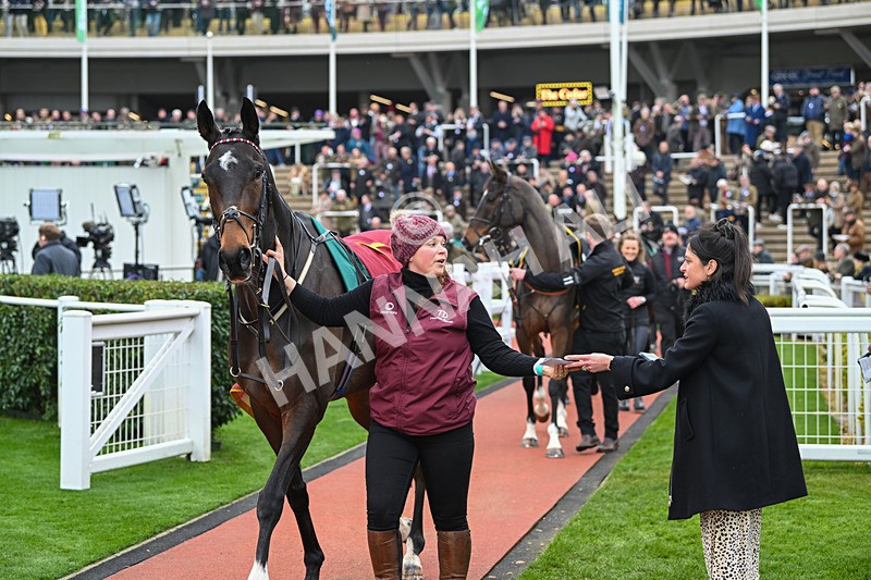 161124-Race 2-BTO-The Newest One-9472 - Race 2