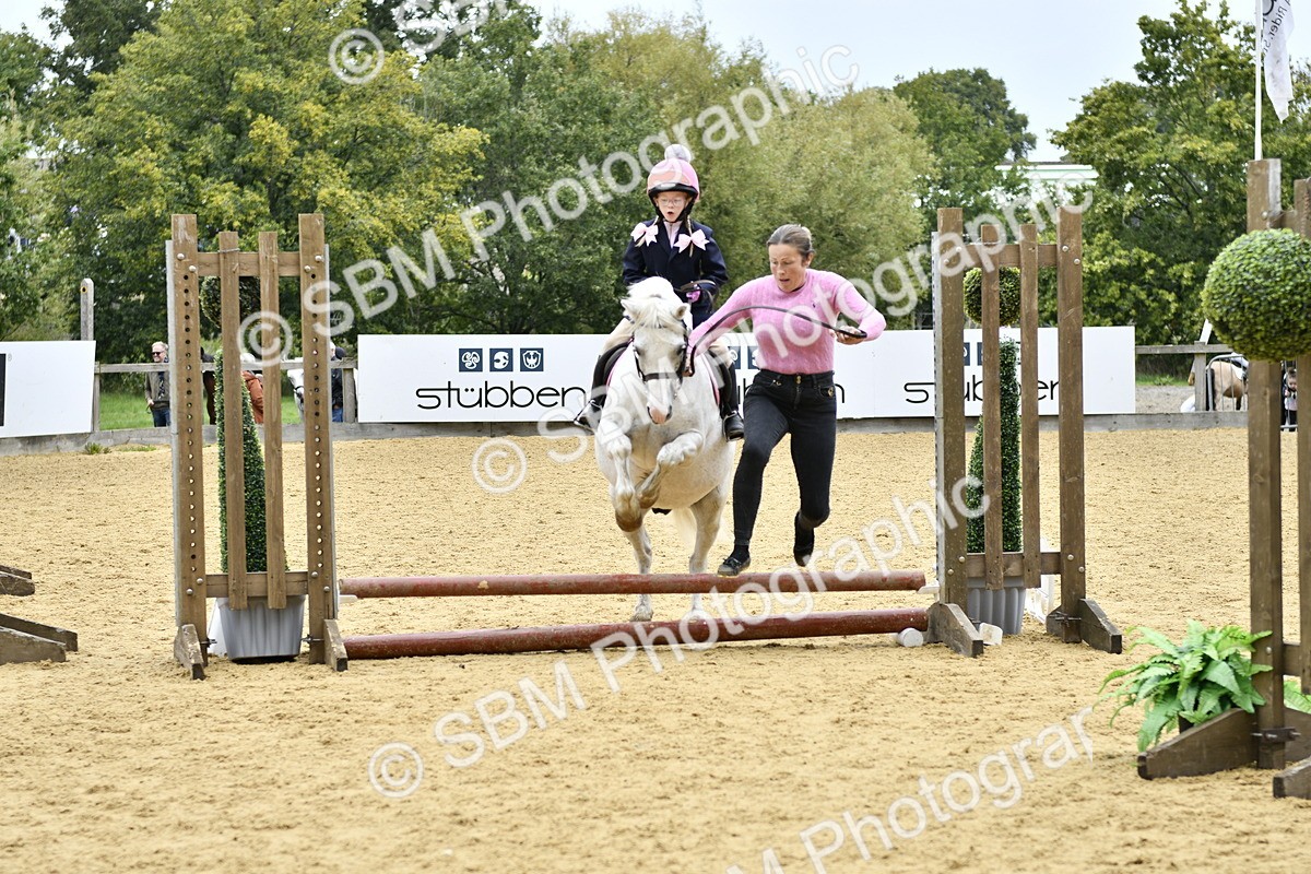 SBM_62784 - J1 - Mini Tour Junior Pony Lead Rein 30cm Championship