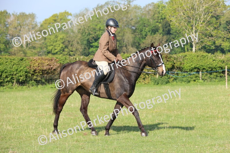 20250427-0496 - Class 17 - Novice Showing
