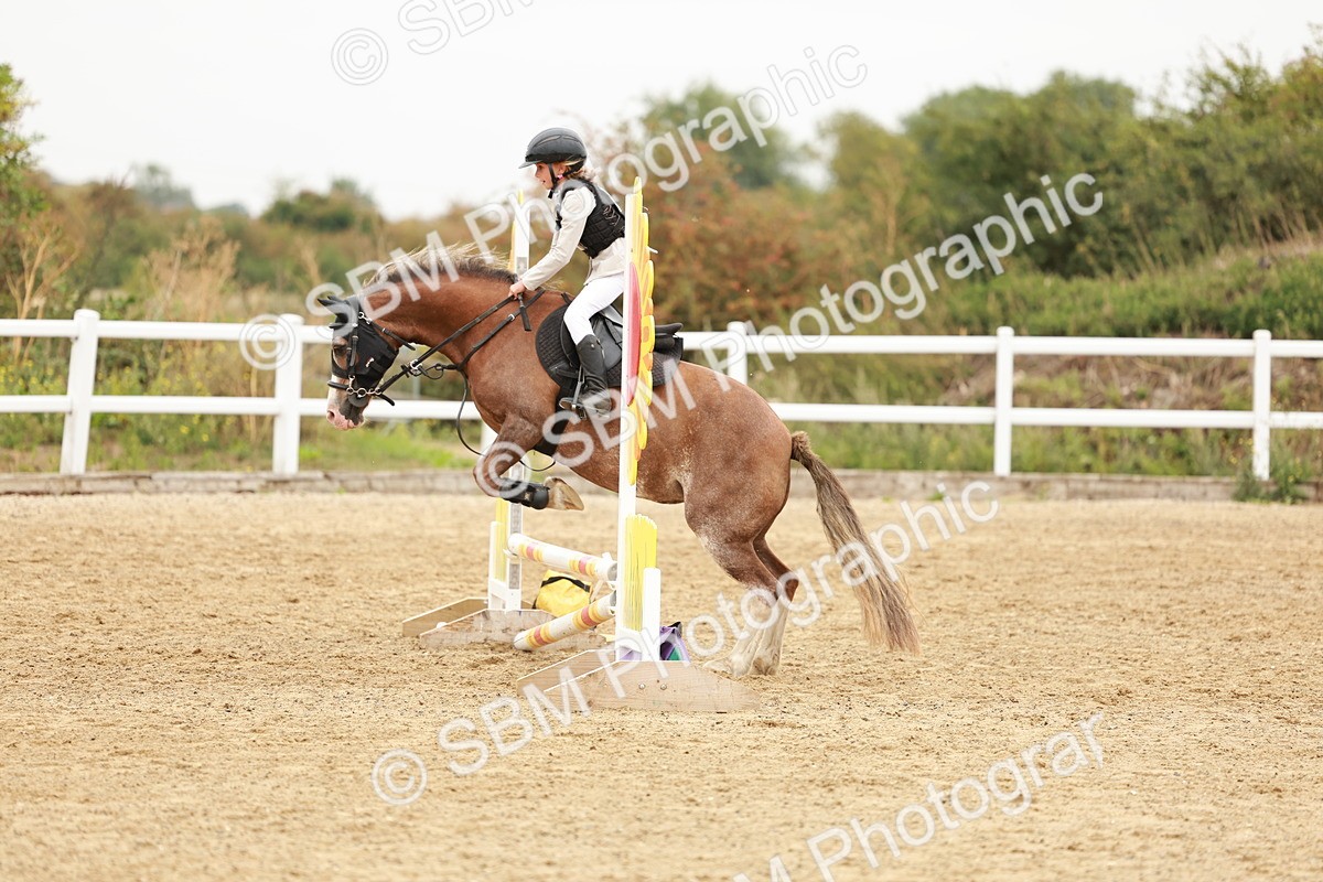 SBM_007280 - Class 2 - 50cm