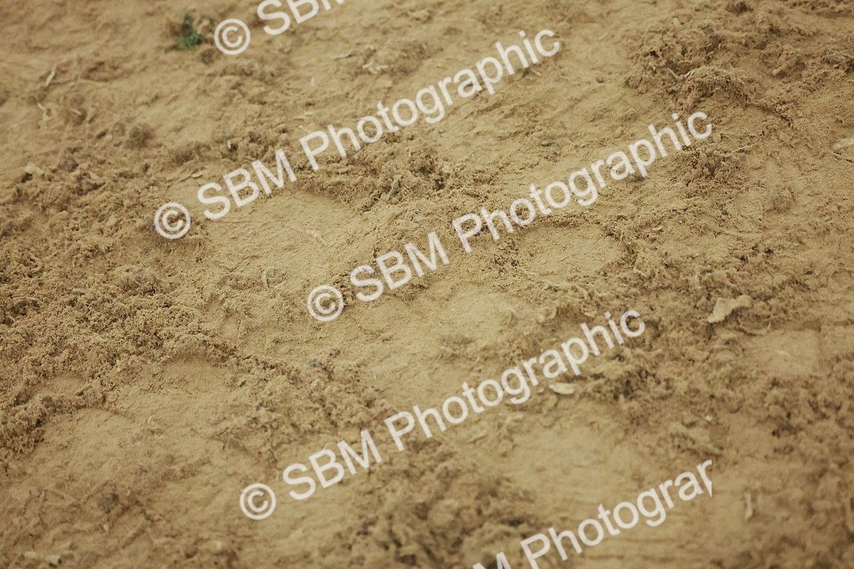 SBM_004981 - Class 6 - Chase Me Charlie