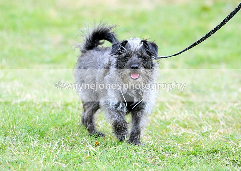 WJ5_9102 - Edited examples of sold pictures