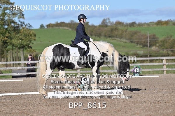BPP_8615 - SHORT ARENA INTRO 3