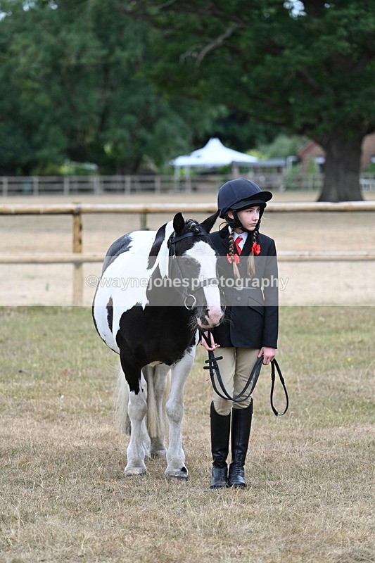 WJ7_8190 - Class 4 Prettiest Mare up to 14.2hh