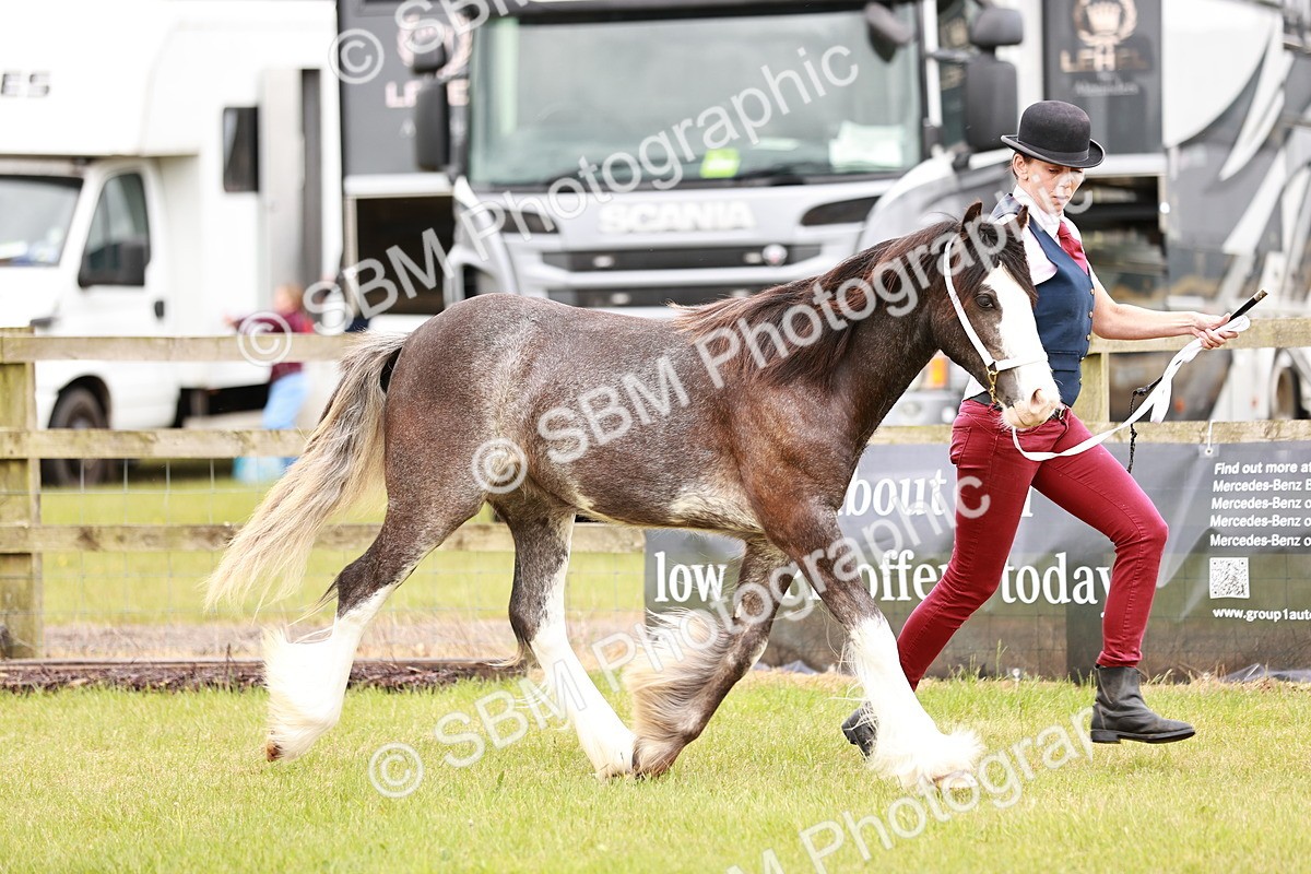 SBM_04552 - Class 5-8 - BSPA In hand