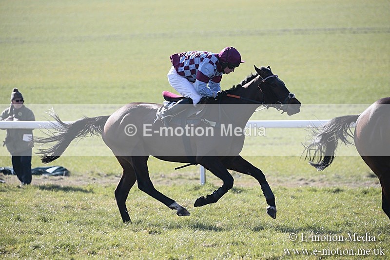 PtP 240218 95 - Vine & Craven Hunt Point-to-Point Barbury racecourse 24/02/18