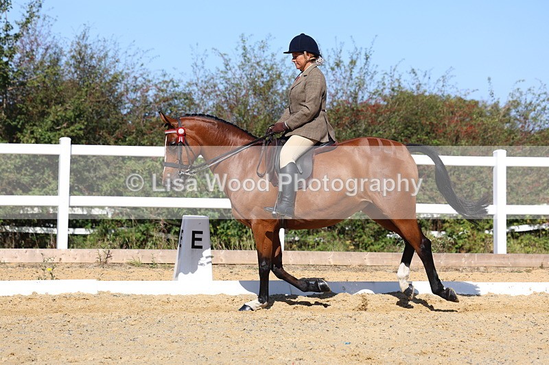 3E7A5743 - Class 10: Riding Horse