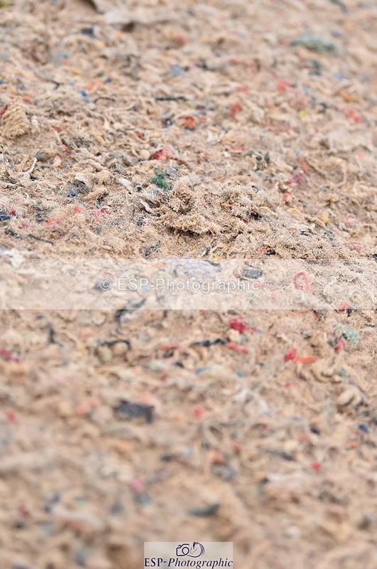 231029A-105556-02505 - Pony British Novice & 80cm Open