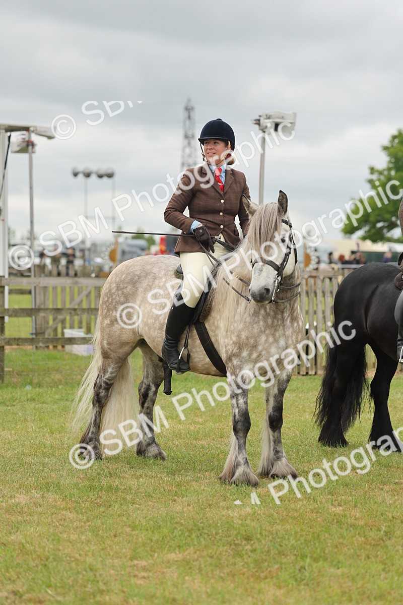 SBM_09005 - Class 78-80 - Ridden M&M Non Welsh Ponies