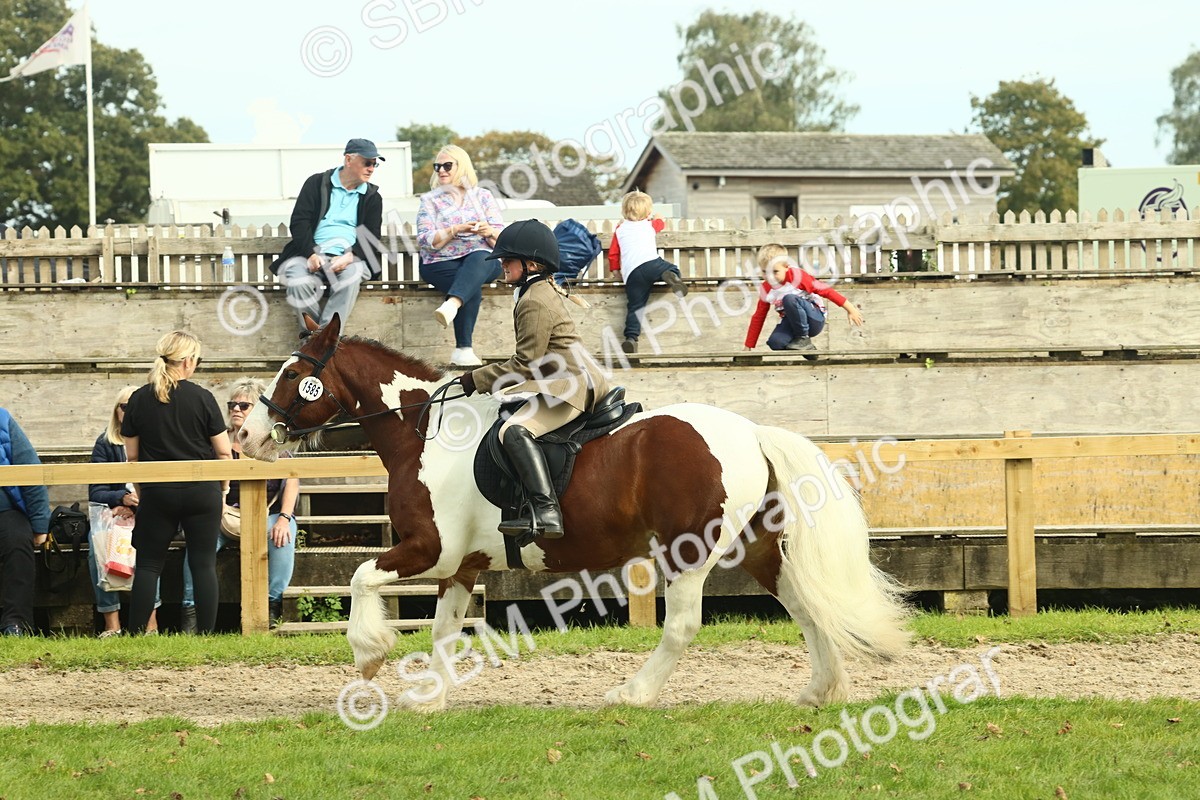 SBM_68243 - S58 - Mini Show Cob Ridden