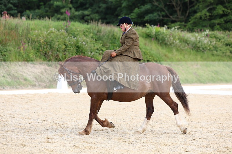 3E7A1636 - Class 2: Intro 2 2024 Section B