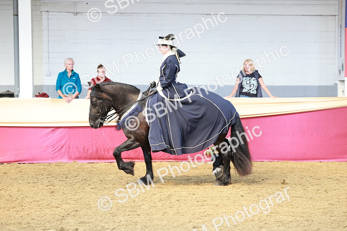 SBM_13722 - Class 106 - Ridden Costume -Astride Adult (15-19)