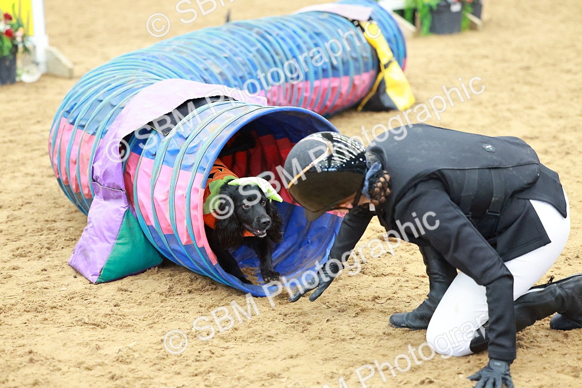 SBM_001692 - Class 3 - Horse & Hound (60cm)