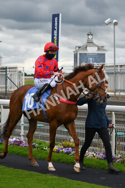 yr22052021r1-19 - Race 1 2.05pm William Hill Pick Your Places Stakes
