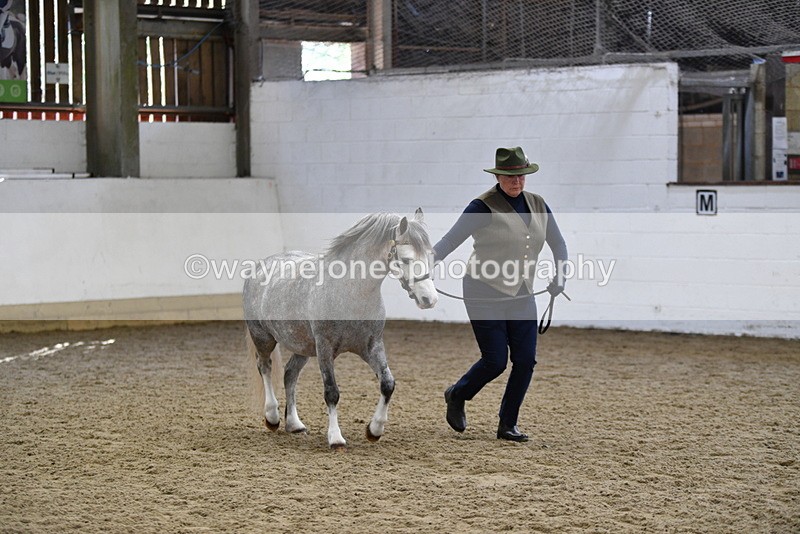 WJ5_5403 - Class 4 In hand M&M - small breeds