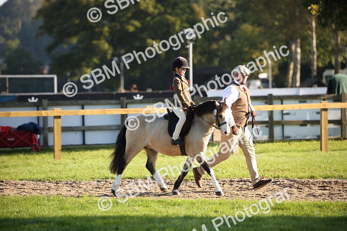 SBM_34181 - S9 - Lead Rein Equitation