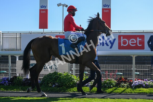 yr12062021r7-16 - Race 7 5.25pm Sky Bet Stakes