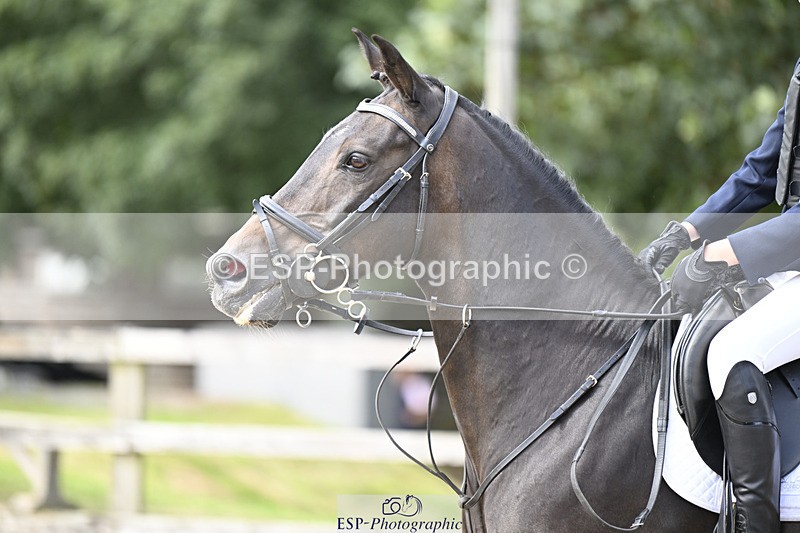 240823X-154931-18898 - 70cm R2 15.20 to 16.40