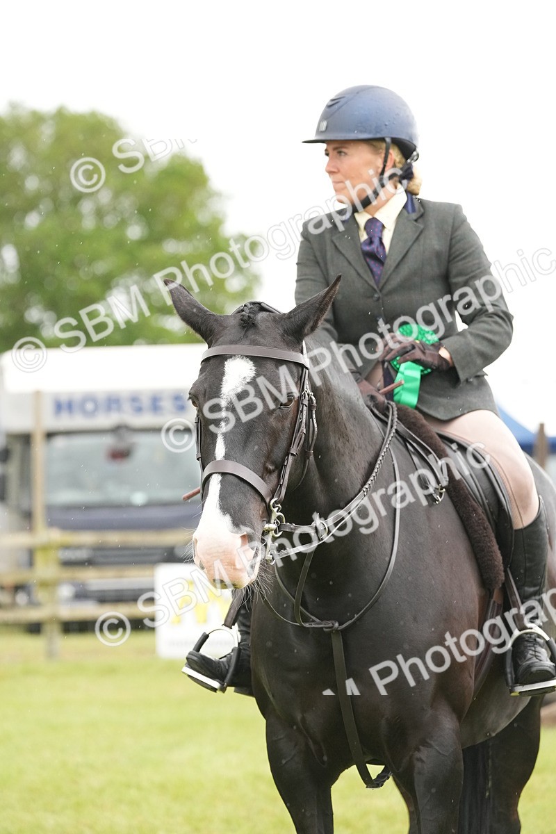 SBM_12817 - Class 97-98 - LIHS BSHA Rising Star Working Show Horse Hunter