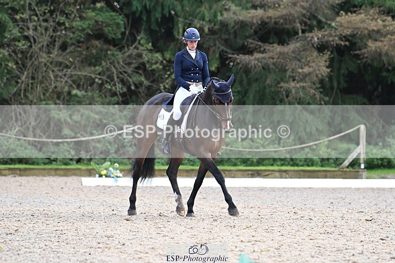 231019-145037-04285 - 057-OVERTON.TILANA'S.GOLD-Claire.Deuten-DR