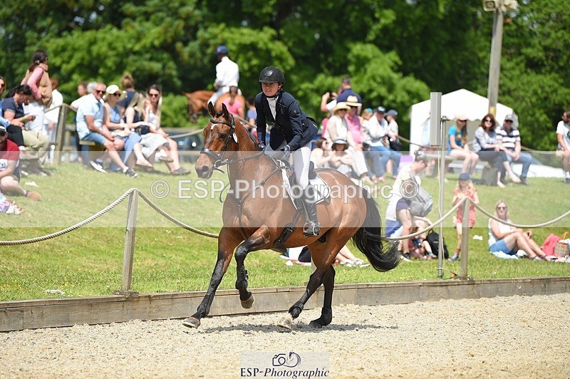 230528-123052-15736 - 373-BENGAL_LORE-Pippa_Taylor-SUNTrotUp+SJ