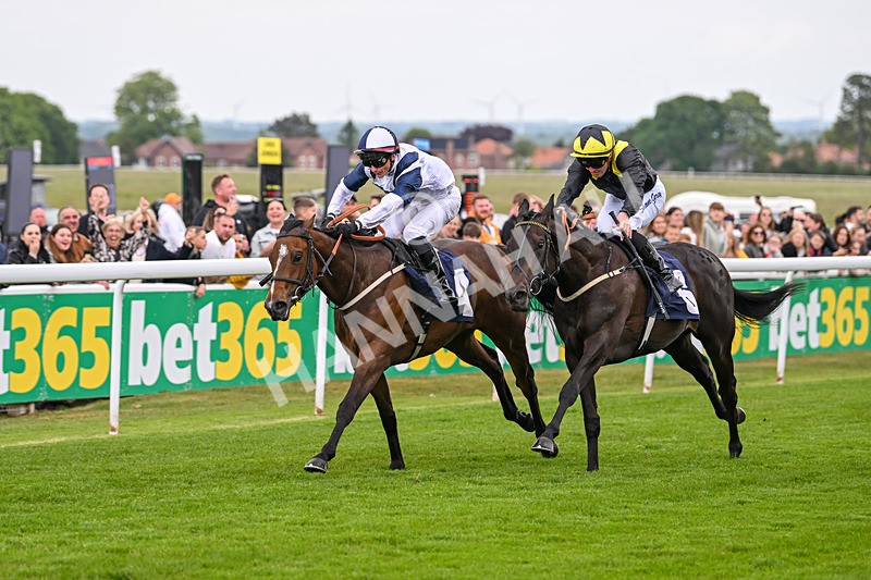 240525-Race 2-Argentine Tango-0275 - Race 2