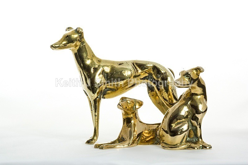 YR6M4016 - Studio Still Life