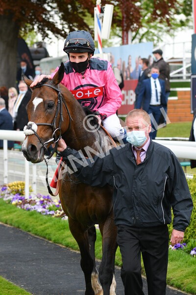 yr14052021r4-43 - Race 4 3.10pm The Matchbook Yorkshire Cup