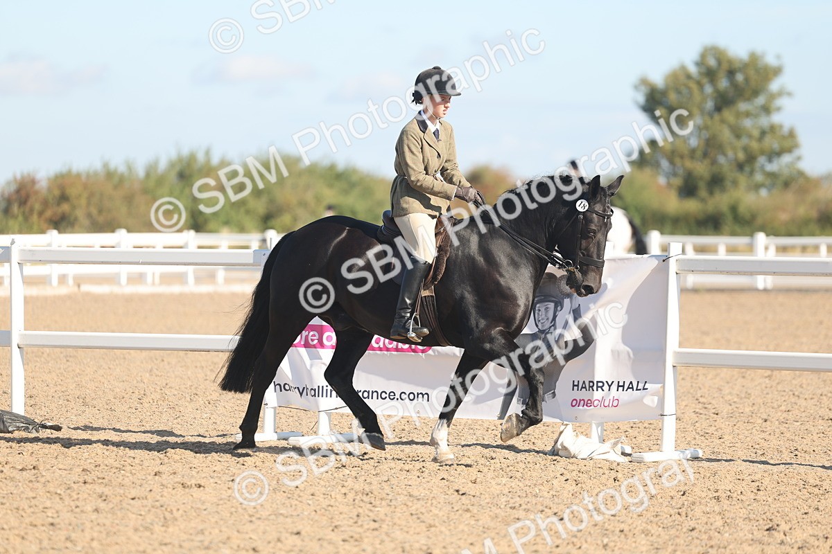 SBM_12306 - Class 304 - Ridden part Bred Horse Pony