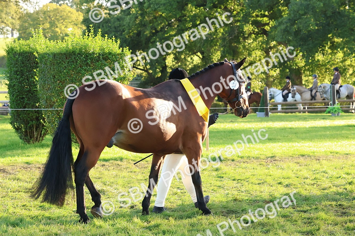 SBM_53118 - Veteran Supreme Championship