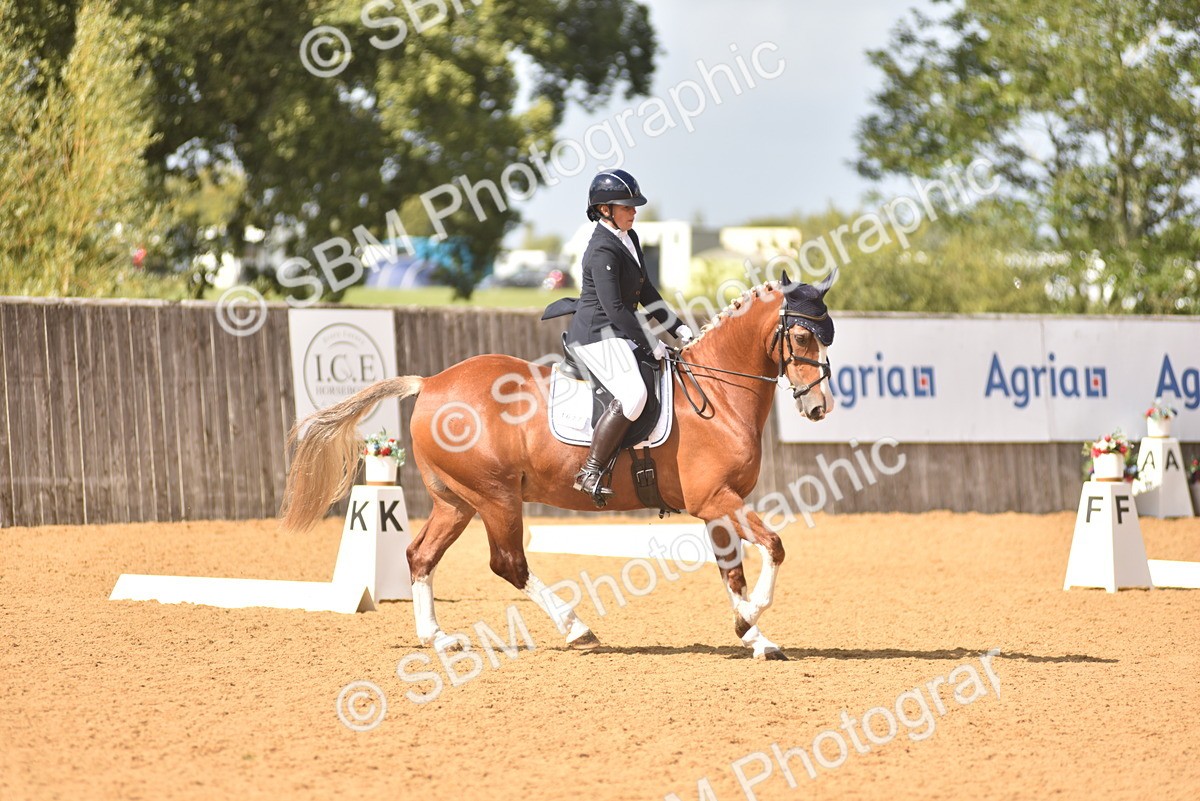 SBM_07816 - D15 - Small Tour Championship Novice 1