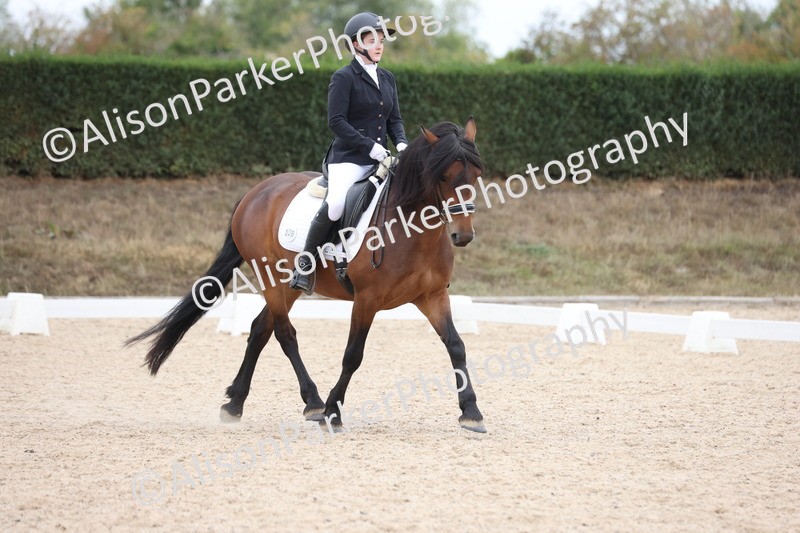 20250820-1091 - Class 17 - Elementary 4