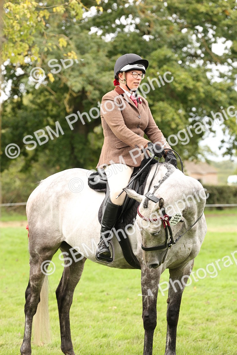 SBM_64288 - S65 - Riding Horse & Hack & Thoroughbred Ridden