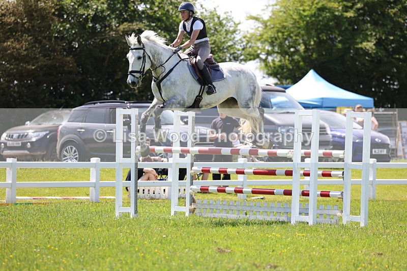 3E7A1249 - Class 12: Senior Foxhunter/1.20 open