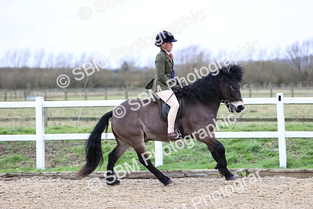 SBM_006875 - Class 29 - 30 - M&M Pure Novice Small-Large Breeds