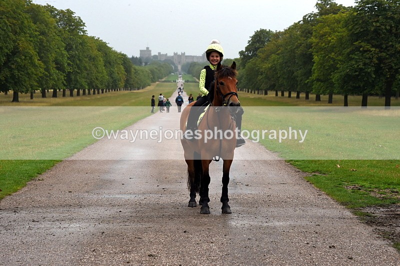 TT3_8815 - Time at Crossing 12:55 to 15:02