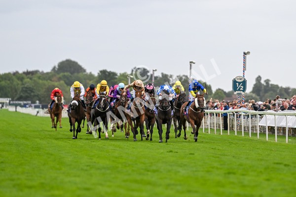 200825-Race 5-Santorini Star-1788 - Race 5 4.10pm Sky Bet Stayers Handicap