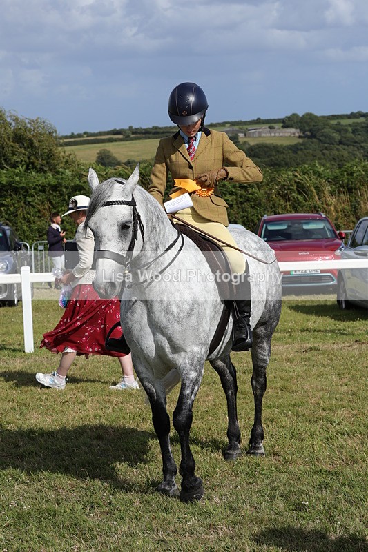1X9A5941 - Class 41:. NPS New Forest & Connemara