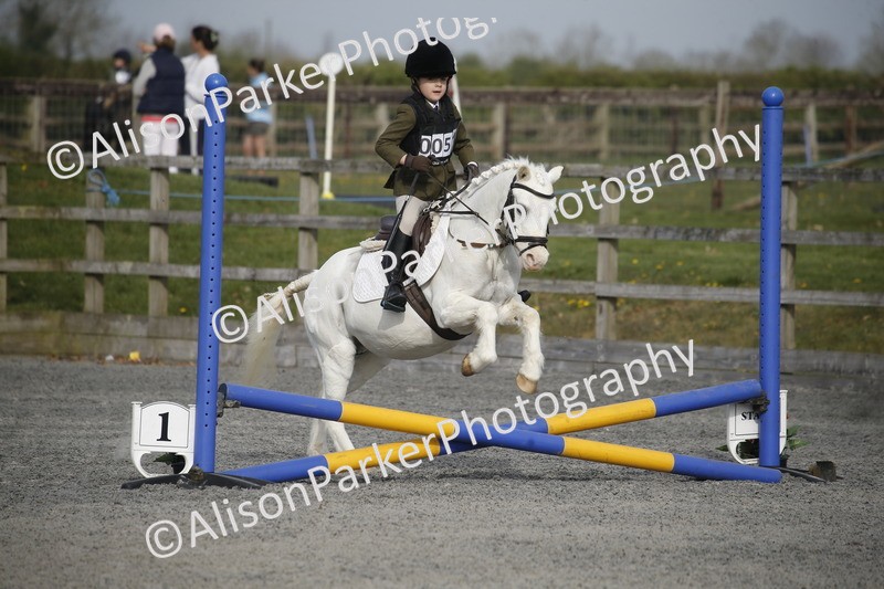 20250412-0039 - Show Jumping