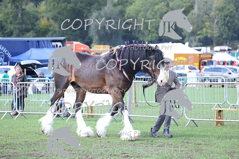 APP_3449 - Class 6 Young Handlers