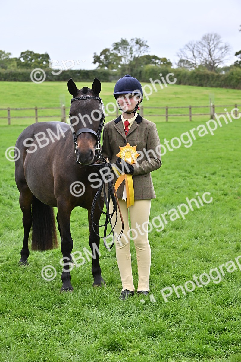 SBM_64955 - S50 - Show Pony & Show Hunter Pony In Hand