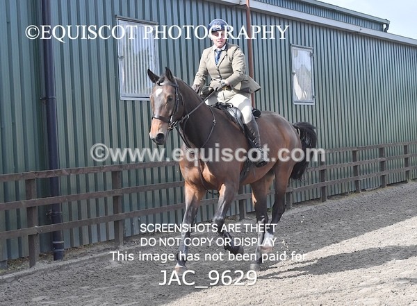 JAC_9629 - CLASS 1 Nursery Novice Working Hunter (0.50m)